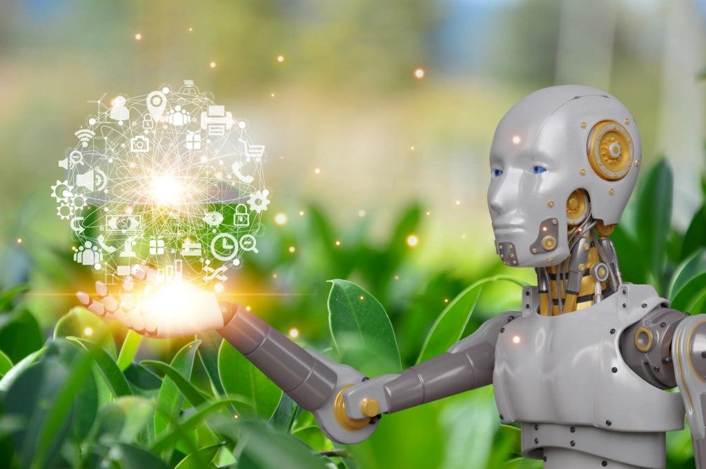 The Role of Artificial Intelligence Transforms in Landscaping for Efficiency and Elegance